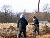 �J���ƂŃ\�o�̎��𗎂Ƃ����