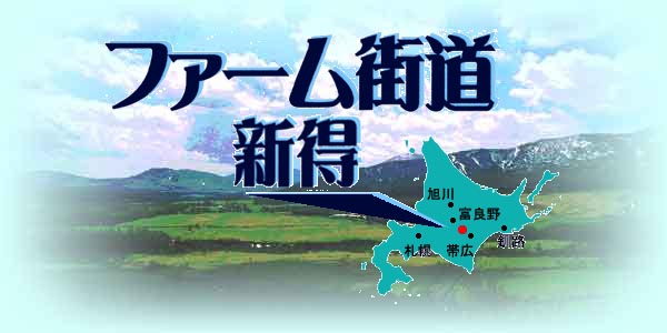 �V���t�@�[���z���f�[